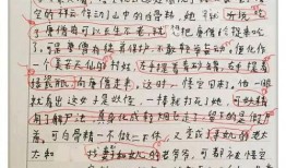 娱乐事件最新爆料写进作文,最新爆料揭秘神秘事件